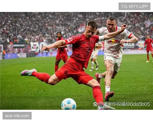 德甲球队新援加盟 有望助力球队实力提升 德甲球队新援加盟 有望助力球队实力提升