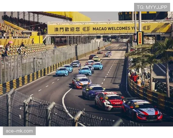 卡马文加稳健发挥,卓越战术理解力闪耀赛场