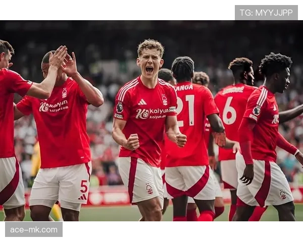 诺丁汉森林2025英超新阵容引关注,剑指重返辉煌