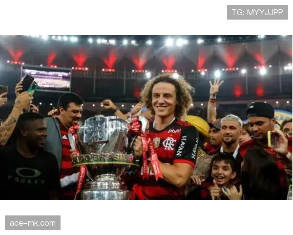 南美杯黑马杰出表现 赢得冠军引发足坛关注