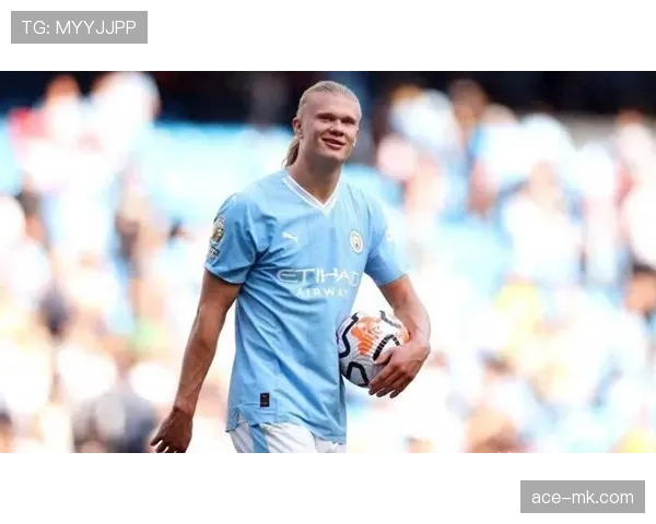 哈兰德挪威天才前锋