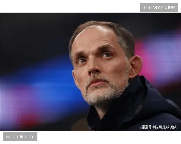 图赫尔战术适应能力 图赫尔战术适应能力