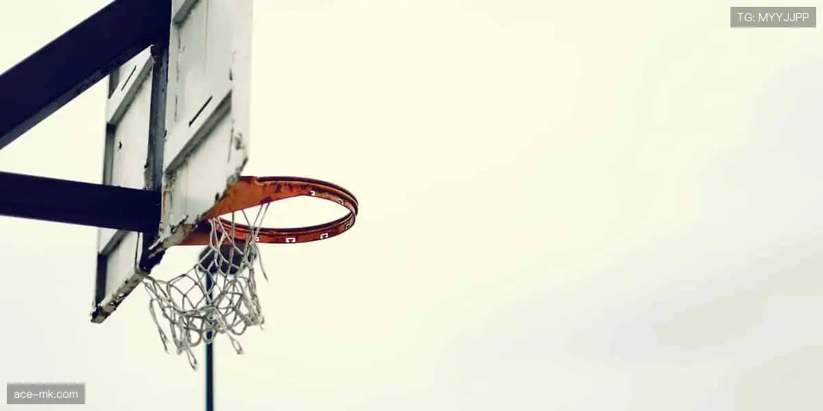 珍藏热爱，从这里开始！🎁🌟